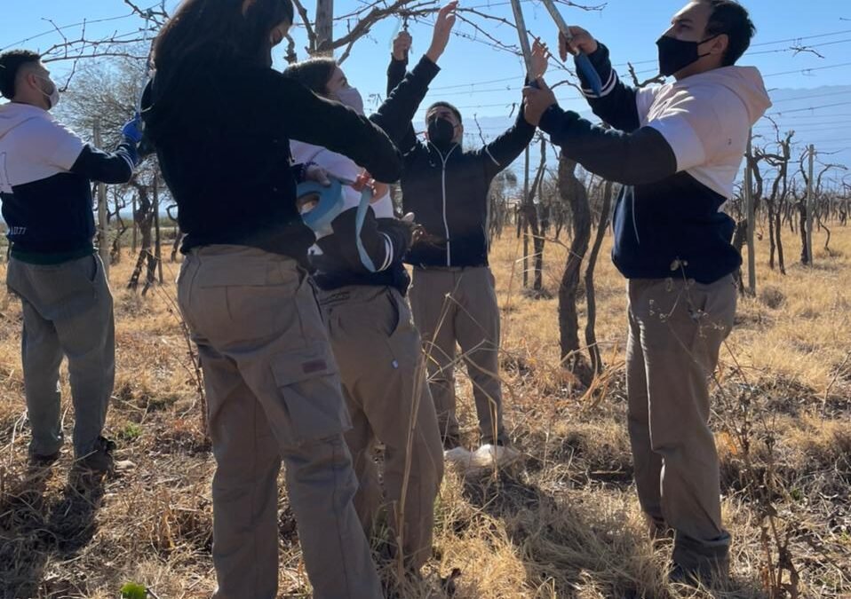 Alumnos de sexto año realizan poda de vid